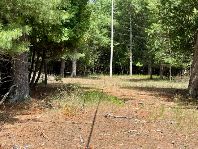 $79,000 | 2 Seymour Street, Onekama, MI 49675