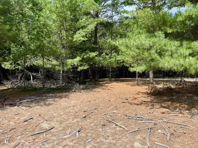 $79,000 | 2 Seymour Street, Onekama, MI 49675