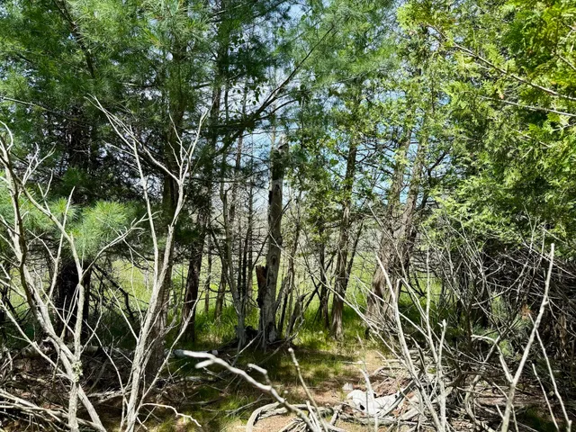 $79,000 | 2 Seymour Street, Onekama, MI 49675