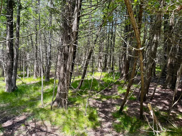 $79,000 | 2 Seymour Street, Onekama, MI 49675