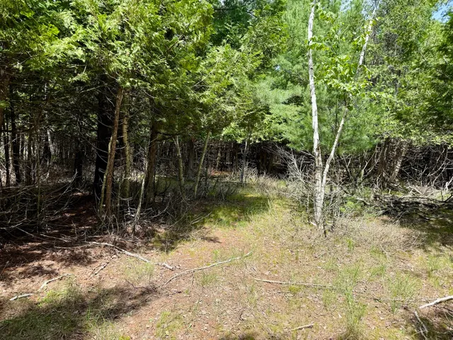 $79,000 | 2 Seymour Street, Onekama, MI 49675