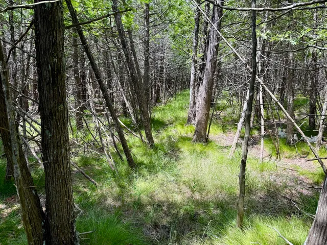 $79,000 | 2 Seymour Street, Onekama, MI 49675