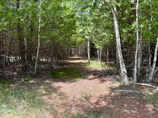 $79,000 | 2 Seymour Street, Onekama, MI 49675