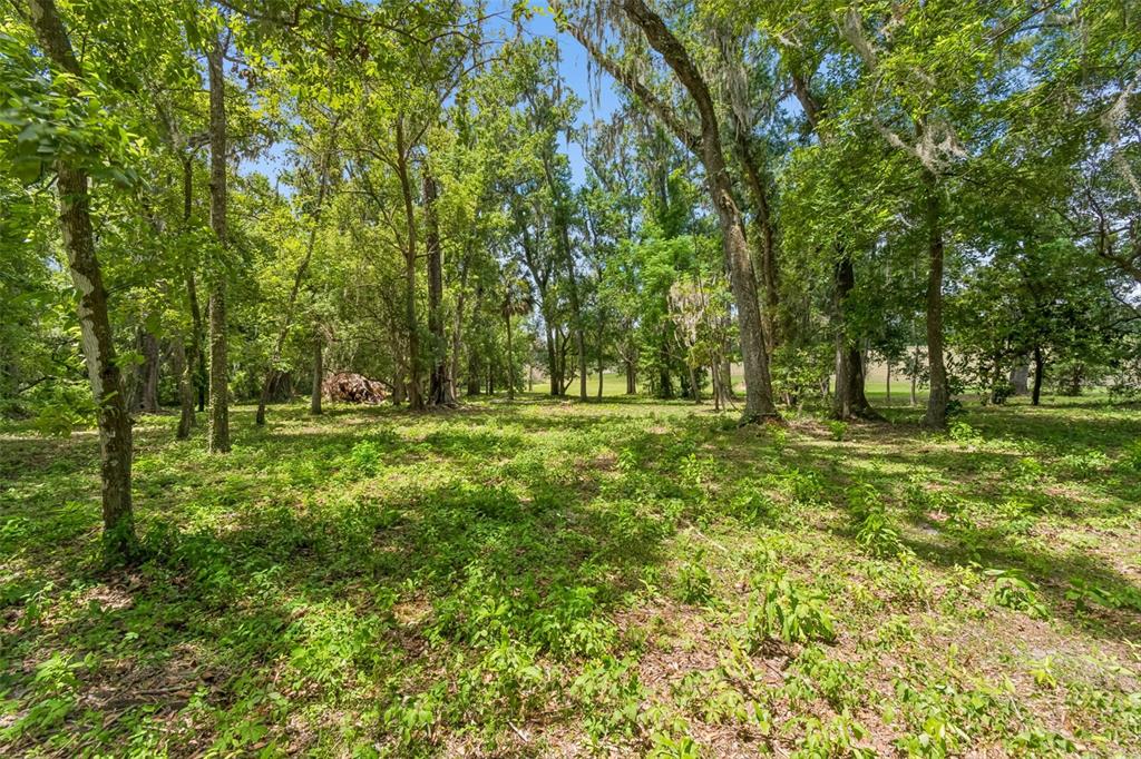 17345 Sweetwater Road Dade City, FL 33523 - Photo 56 of 77