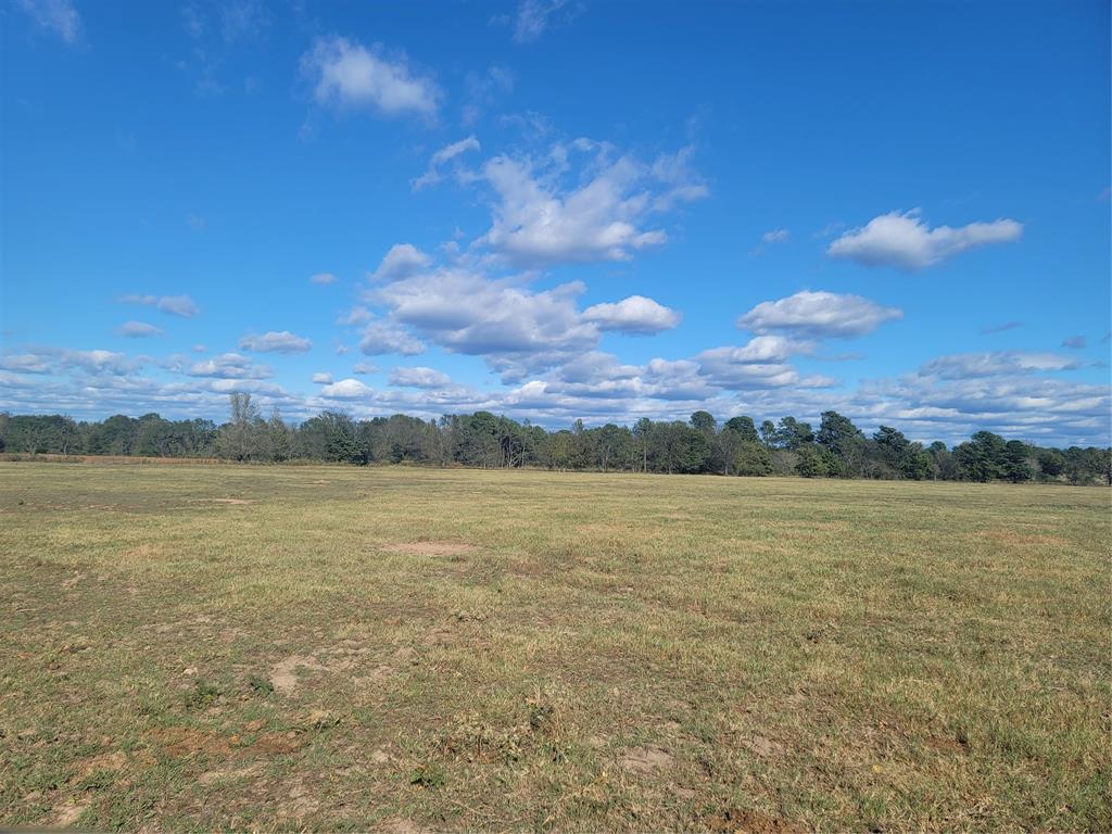 12403 Fm 1975, Unit PARCEL B Gilmer, TX 75644 - Photo 5 of 14 a view of an ocean