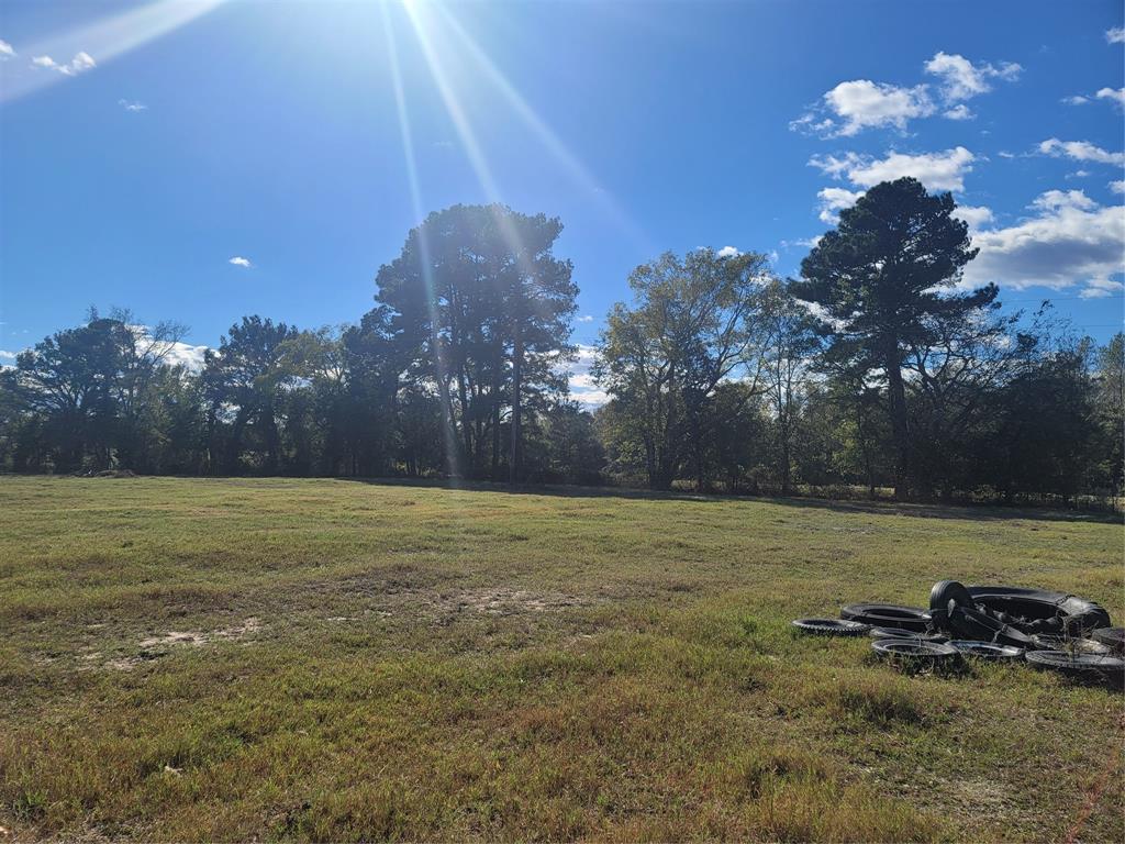 12403 Fm 1975, Unit PARCEL B Gilmer, TX 75644 - Photo 9 of 14 a view of a yard