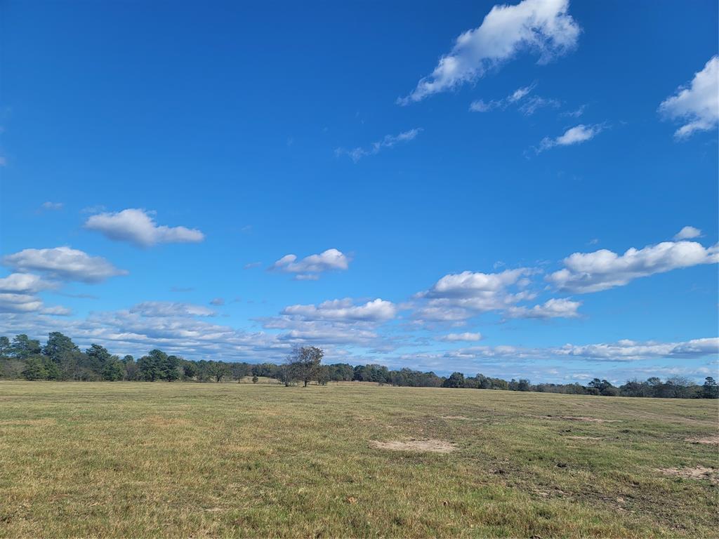 12403 Fm 1975, Unit PARCEL B Gilmer, TX 75644 - Photo 10 of 14 a view of an ocean