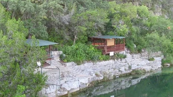 a view of a yard with large trees