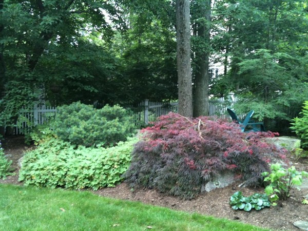 25 Woodchester Road Wellesley, MA 02481 - Photo 16 of 19 Gallery Image 16