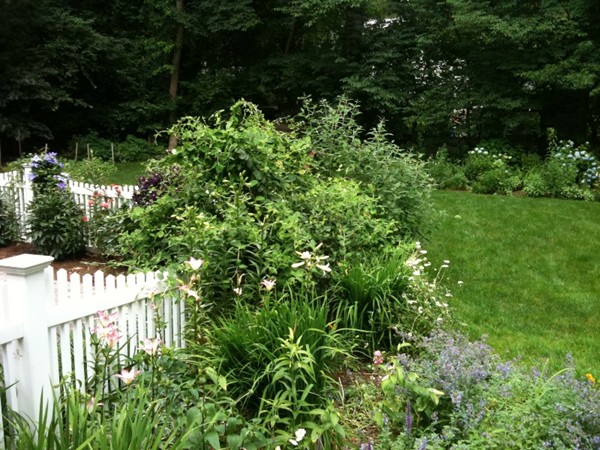 25 Woodchester Road Wellesley, MA 02481 - Photo 17 of 19 Gallery Image 17