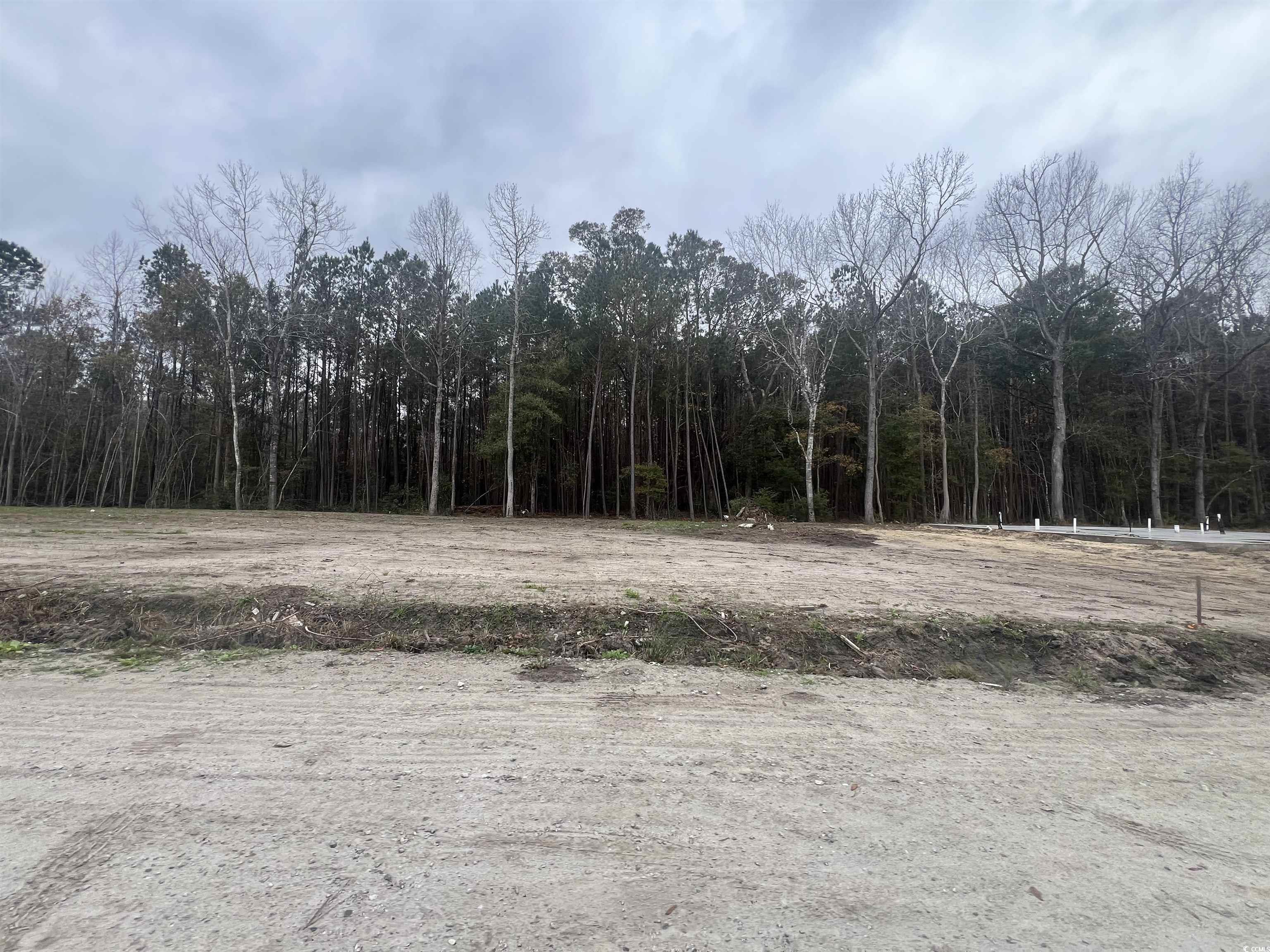 Tbd Honeydew Road Myrtle Beach, SC 29588 - Photo 3 of 3 View of nature