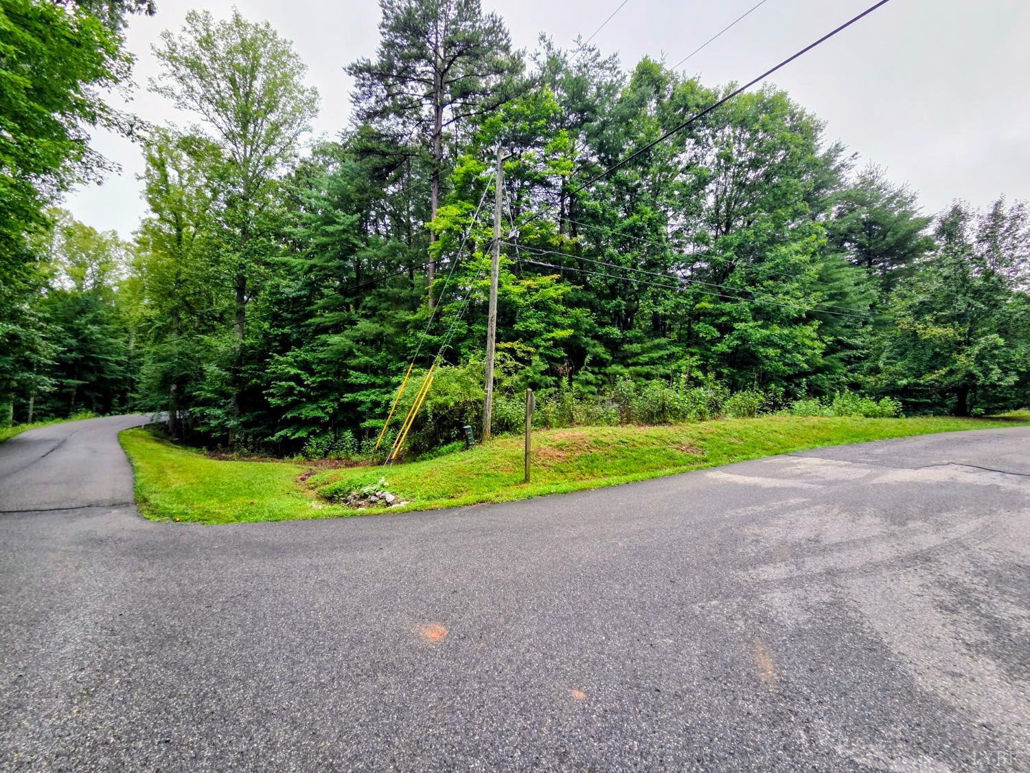 0 Gap Bridge Road Moneta, VA 24121 - Photo 6 of 20
