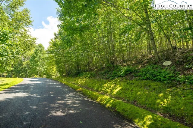 a view of a swimming pool with a yard