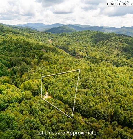 a view of a field with a tree in the background