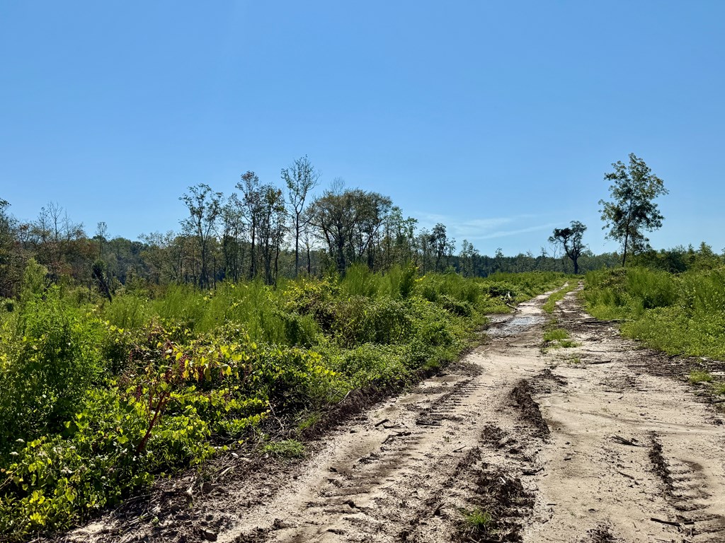 Undisclosed Address Slocomb, AL 36375 - Photo 14 of 23