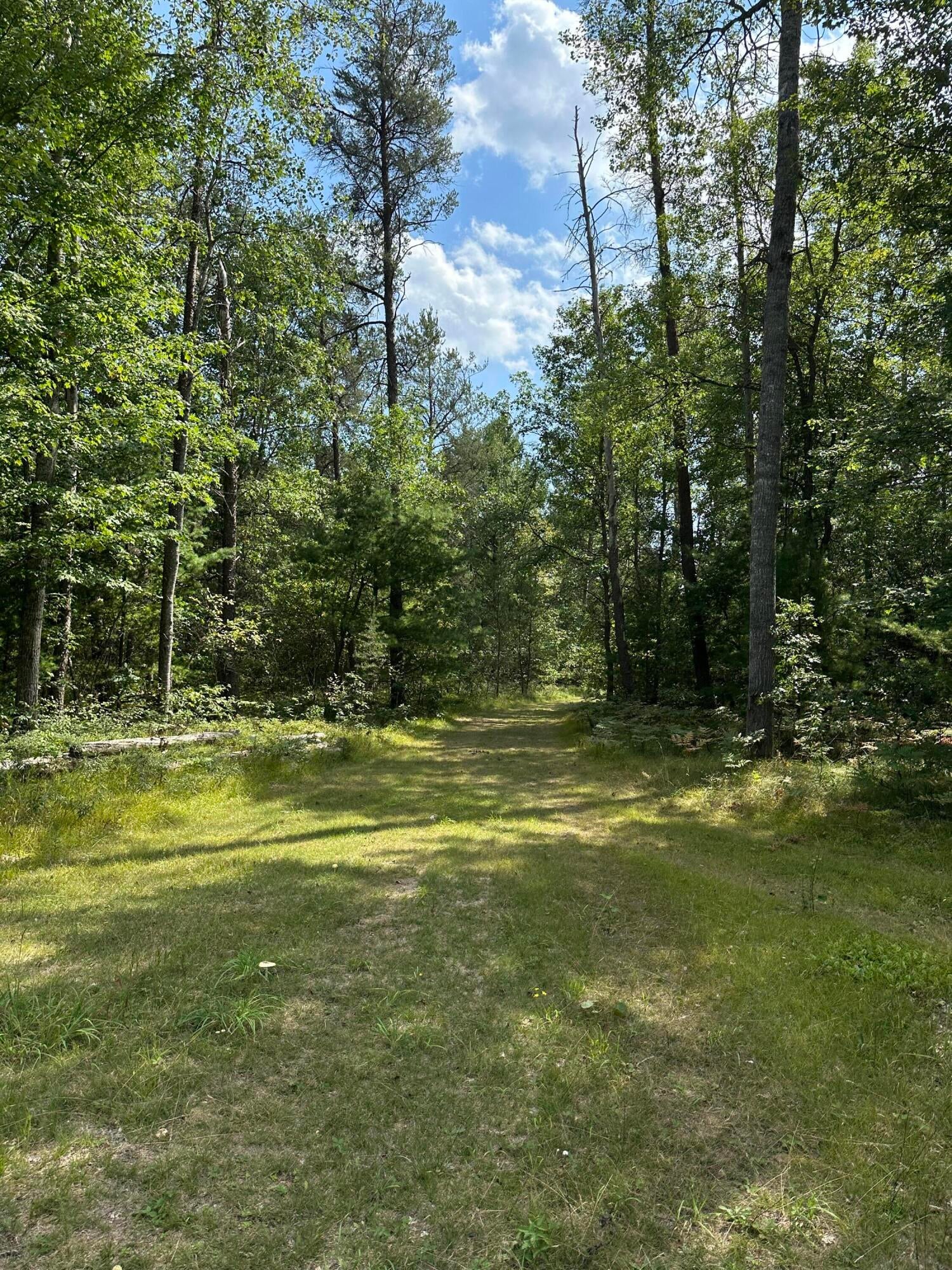 10353 South Grayling Road Roscommon, MI 48653 - Photo 51 of 54 Gallery Image 51