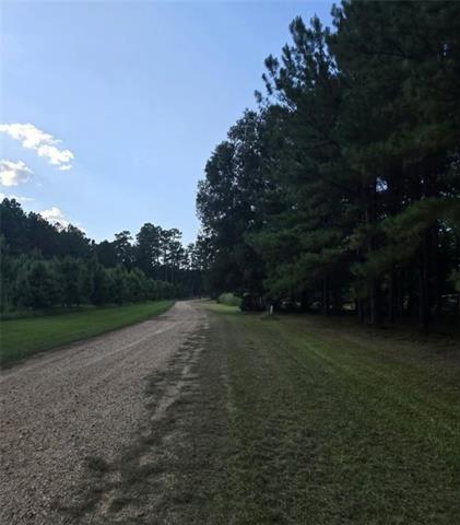 Tbd South Bennett Road Independence, LA 70443 - Photo 5 of 6 Gallery Image 5