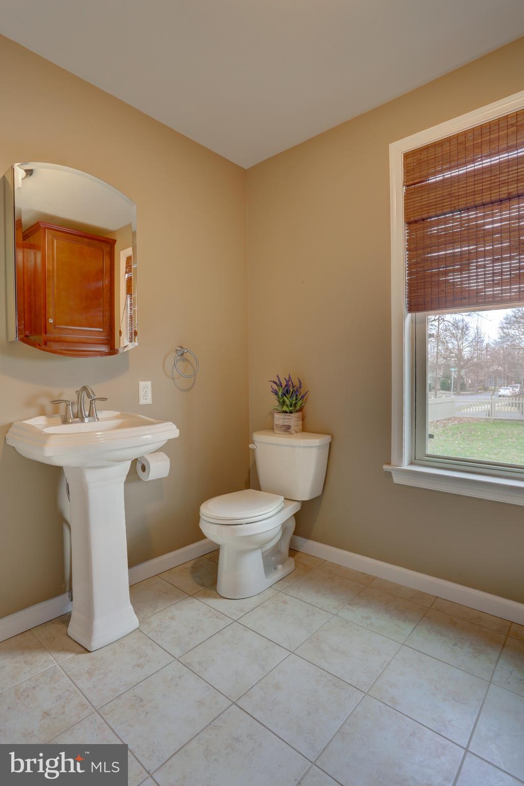 33 East 2nd Avenue Lititz, PA 17543 - Photo 19 of 59 Bathroom