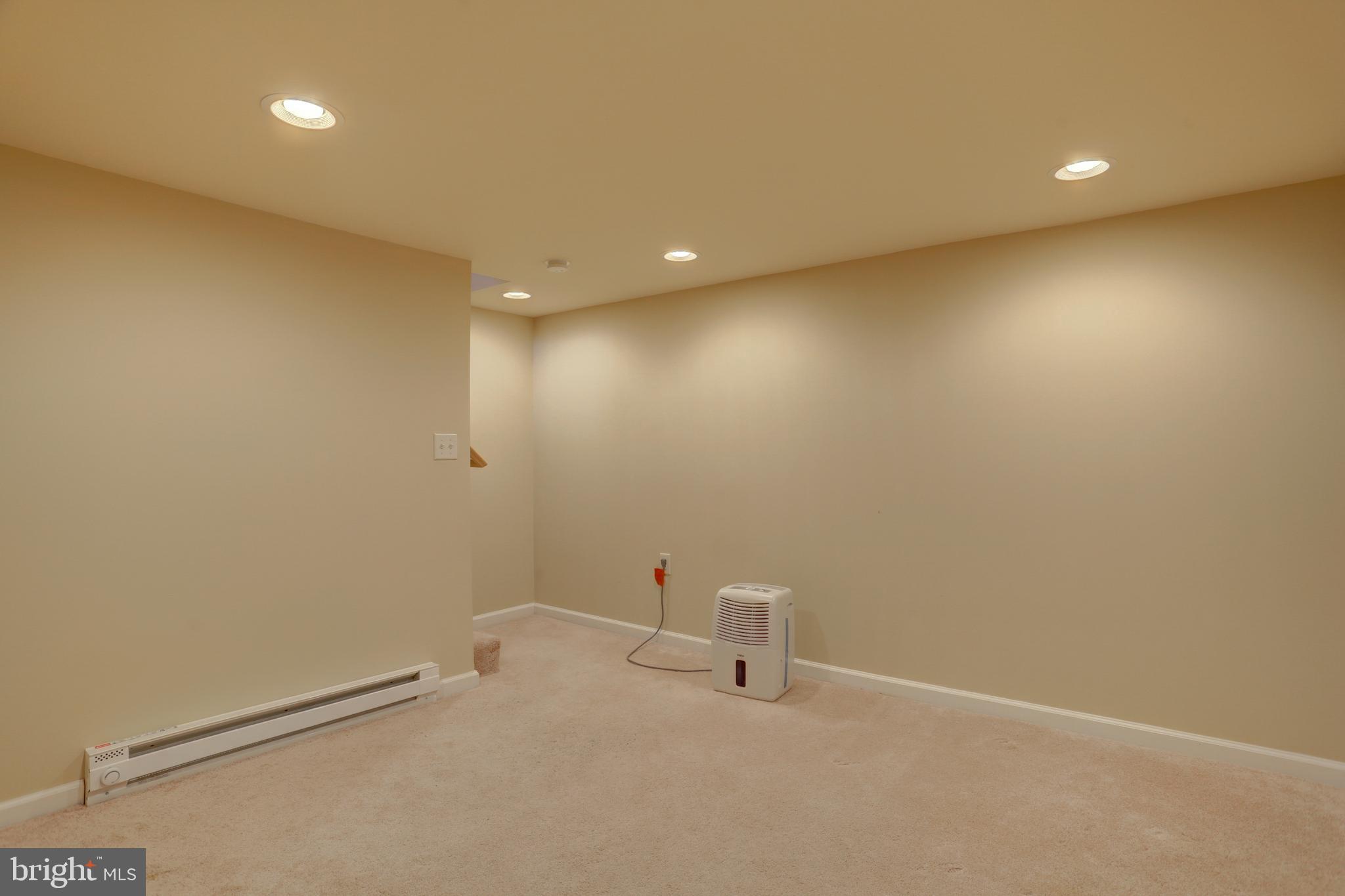 33 East 2nd Avenue Lititz, PA 17543 - Photo 27 of 59 Basement