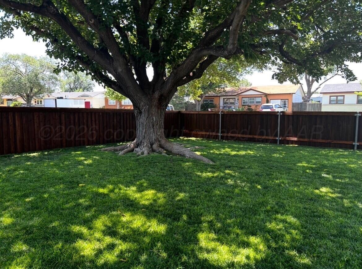 5303 Tumbleweed Drive Amarillo, TX 79110 - Photo 39 of 40 Front Yard Summer