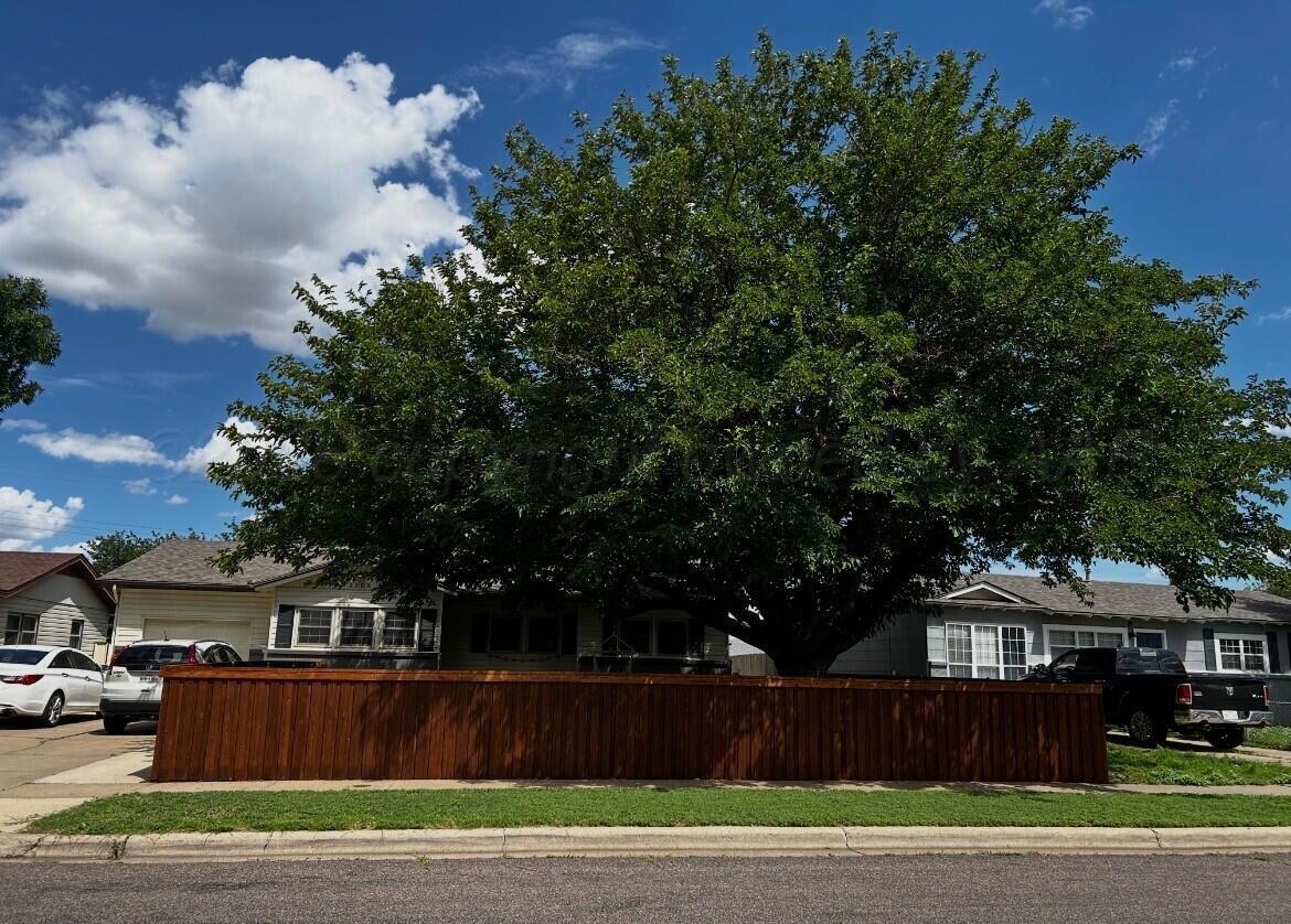 5303 Tumbleweed Drive Amarillo, TX 79110 - Photo 40 of 40 front yard summer2