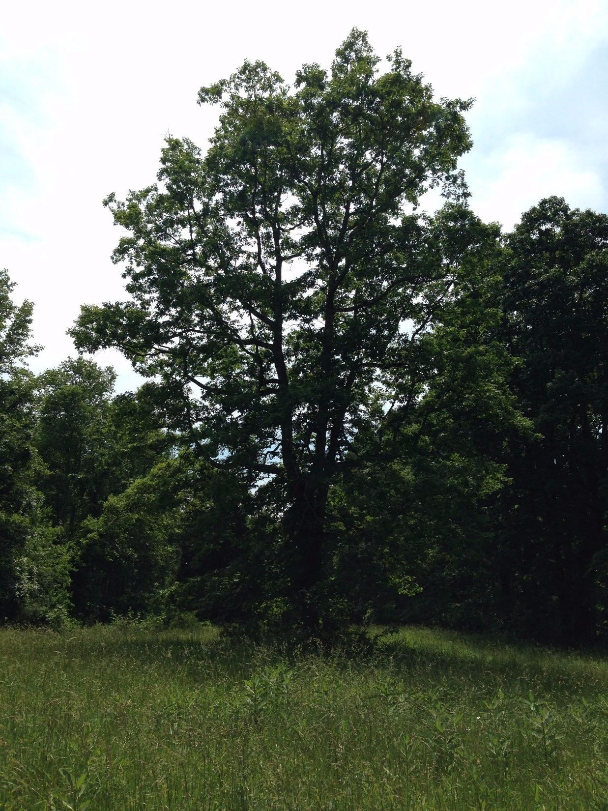 9999 South Hollin Road Tyner, KY 40486 - Photo 7 of 10 Photo 7
