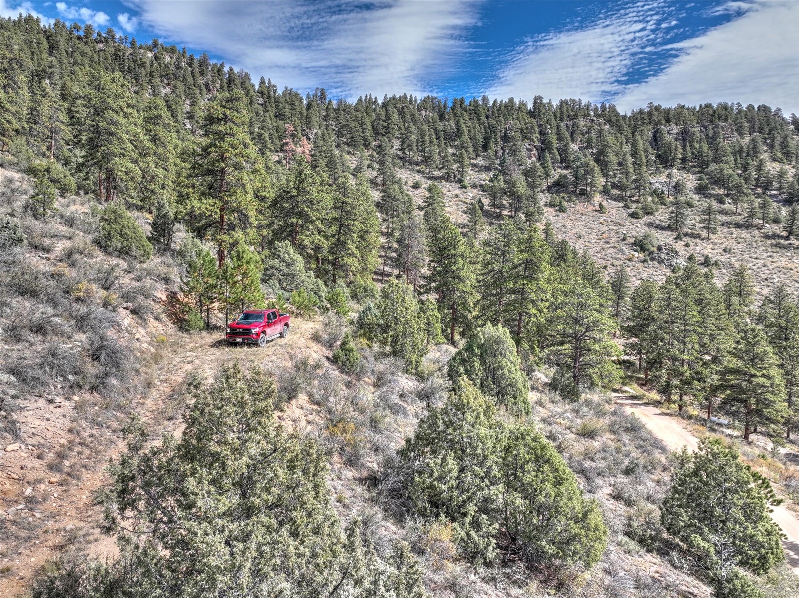 1913 South Ridge Road Bailey, CO 80421 - Photo 23 of 40 Aerial view