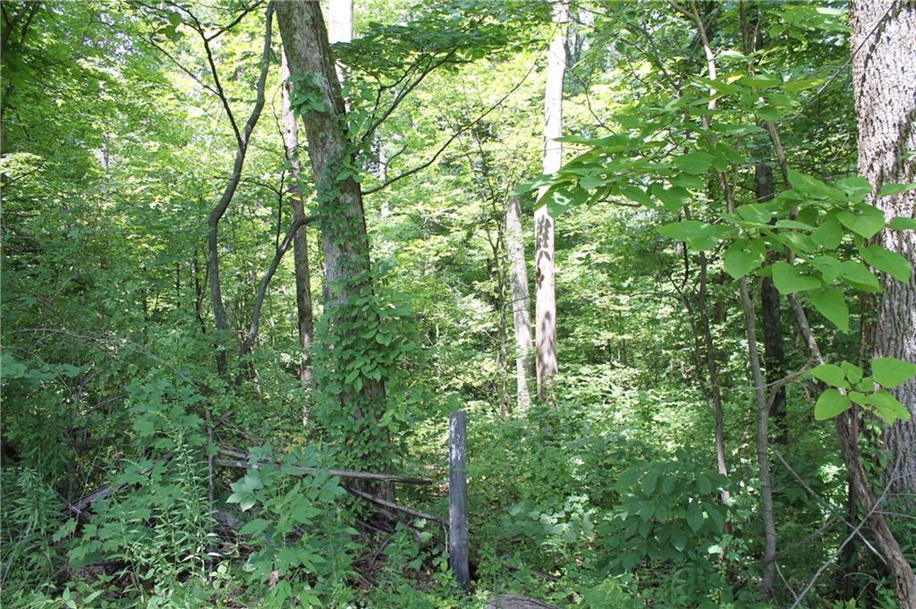 4735 Covered Bridge Road Nashville, IN 47448 - Photo 3 of 28 Gallery Image 3