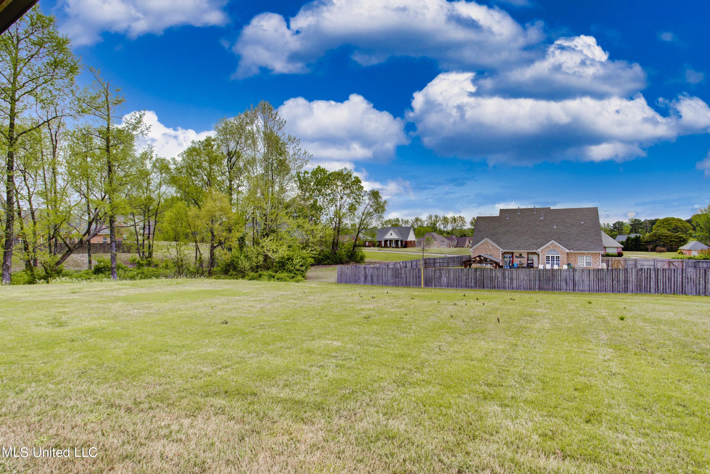 560 Ridge View Drive Hernando, MS 38632 - Photo 29 of 37 Back yard