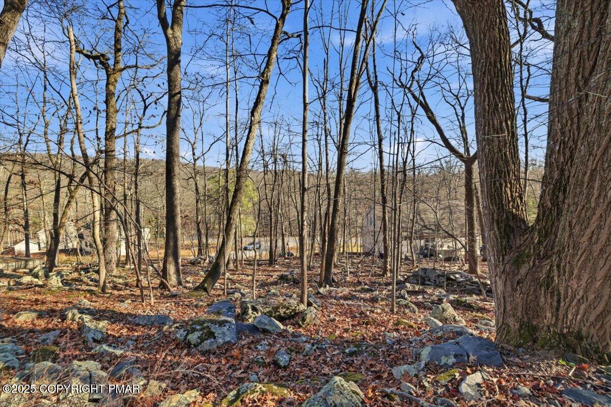 2 North Hampton Court Bushkill, PA 18324 - Photo 11 of 14 a view of covered with trees