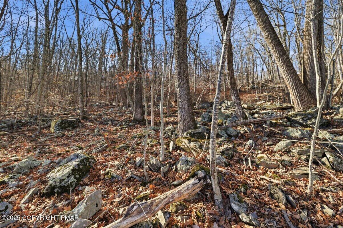 2 North Hampton Court Bushkill, PA 18324 - Photo 12 of 14 a view of forest