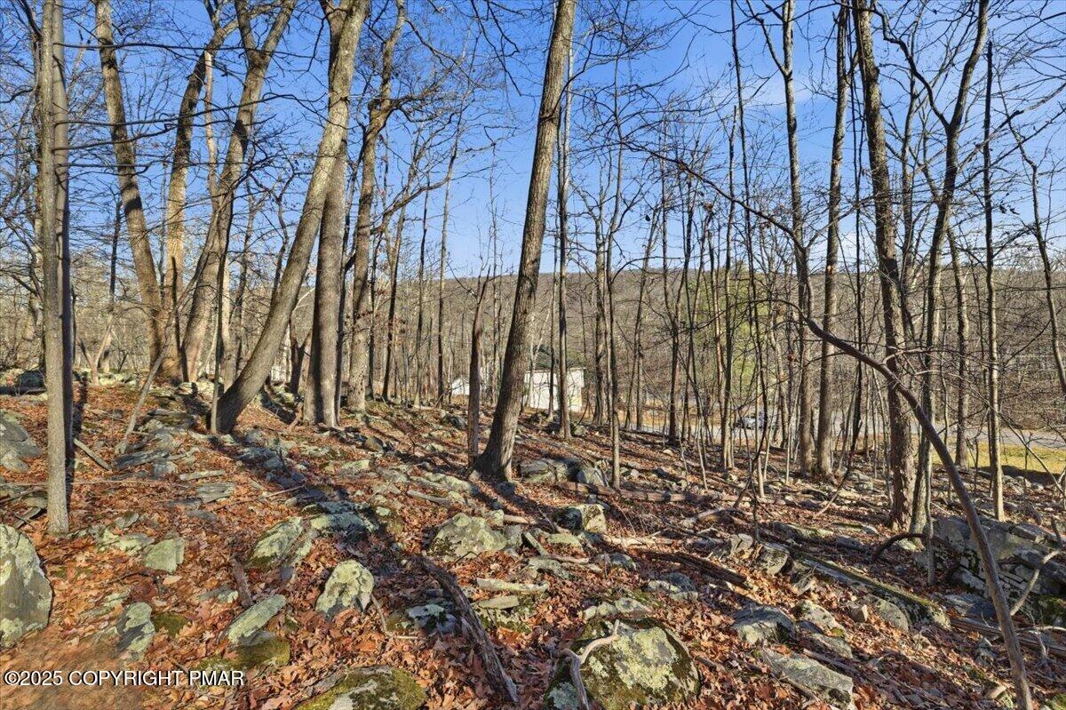 2 North Hampton Court Bushkill, PA 18324 - Photo 13 of 14 a view of a backyard