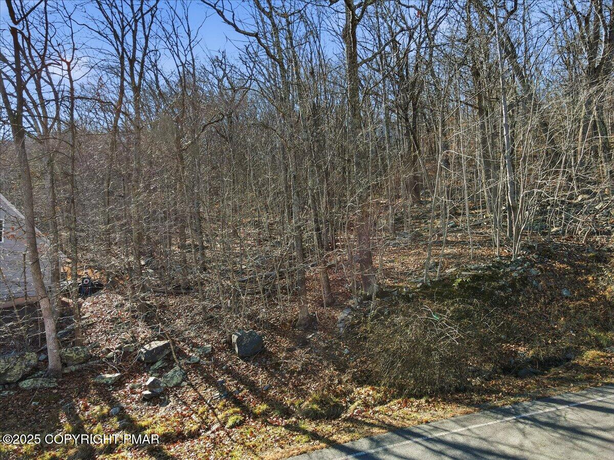 2 North Hampton Court Bushkill, PA 18324 - Photo 4 of 14 a view of a pathway