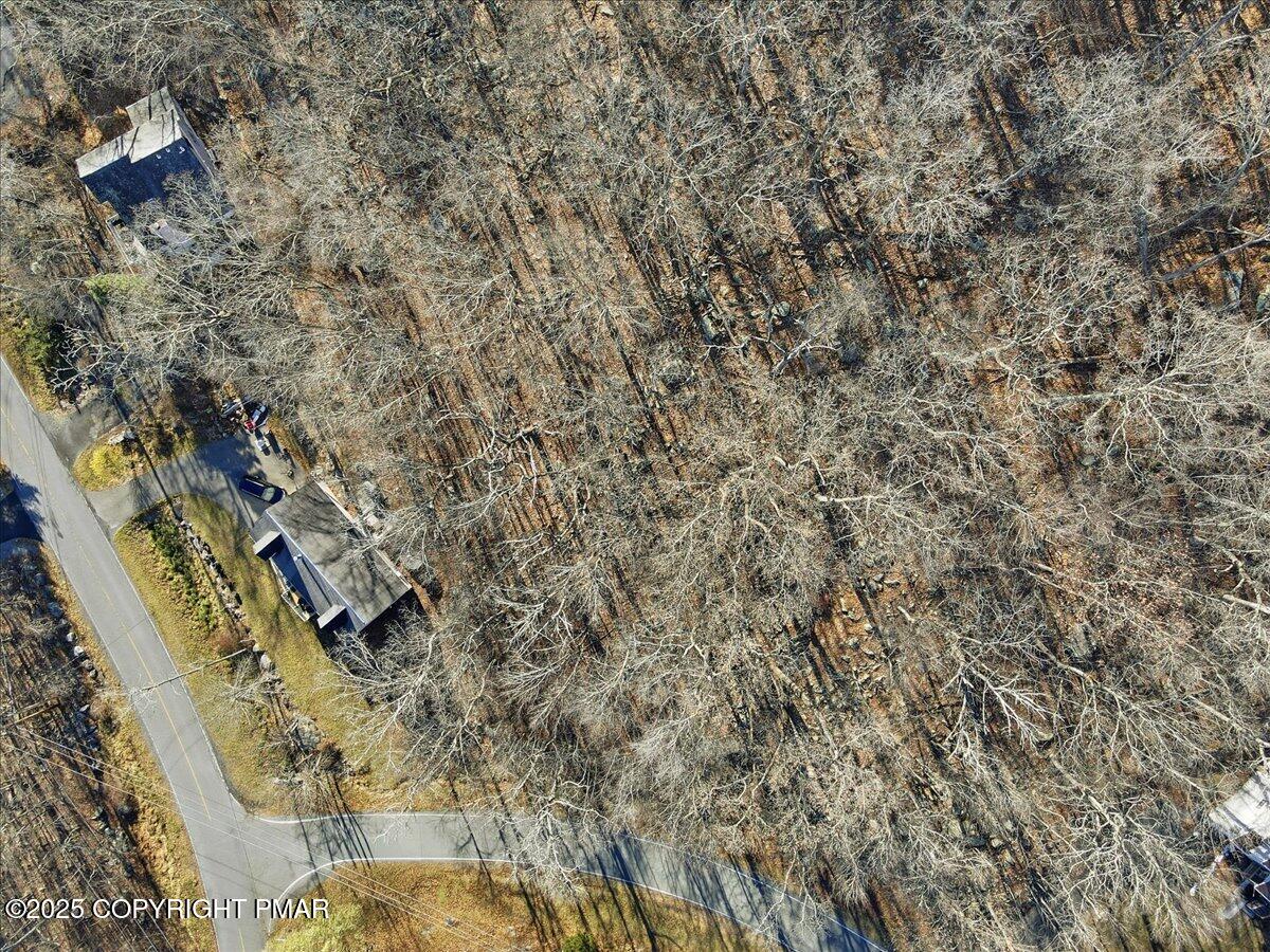 2 North Hampton Court Bushkill, PA 18324 - Photo 6 of 14 a view of a dry plant in a yard