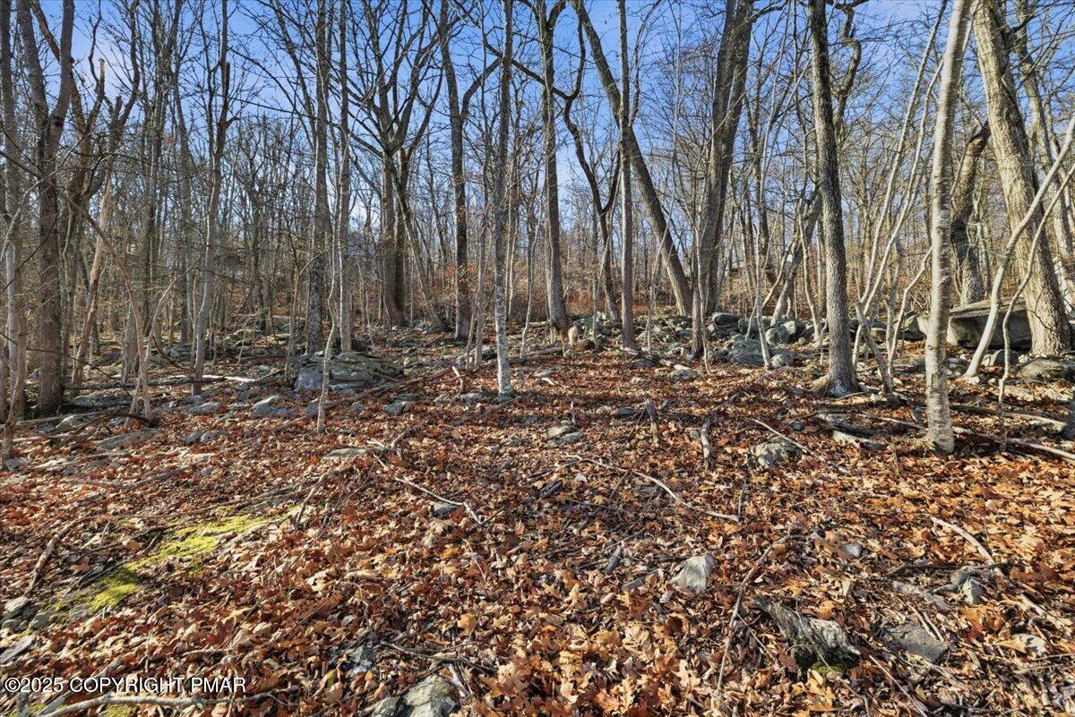 2 North Hampton Court Bushkill, PA 18324 - Photo 10 of 14 a view of a yard with large trees