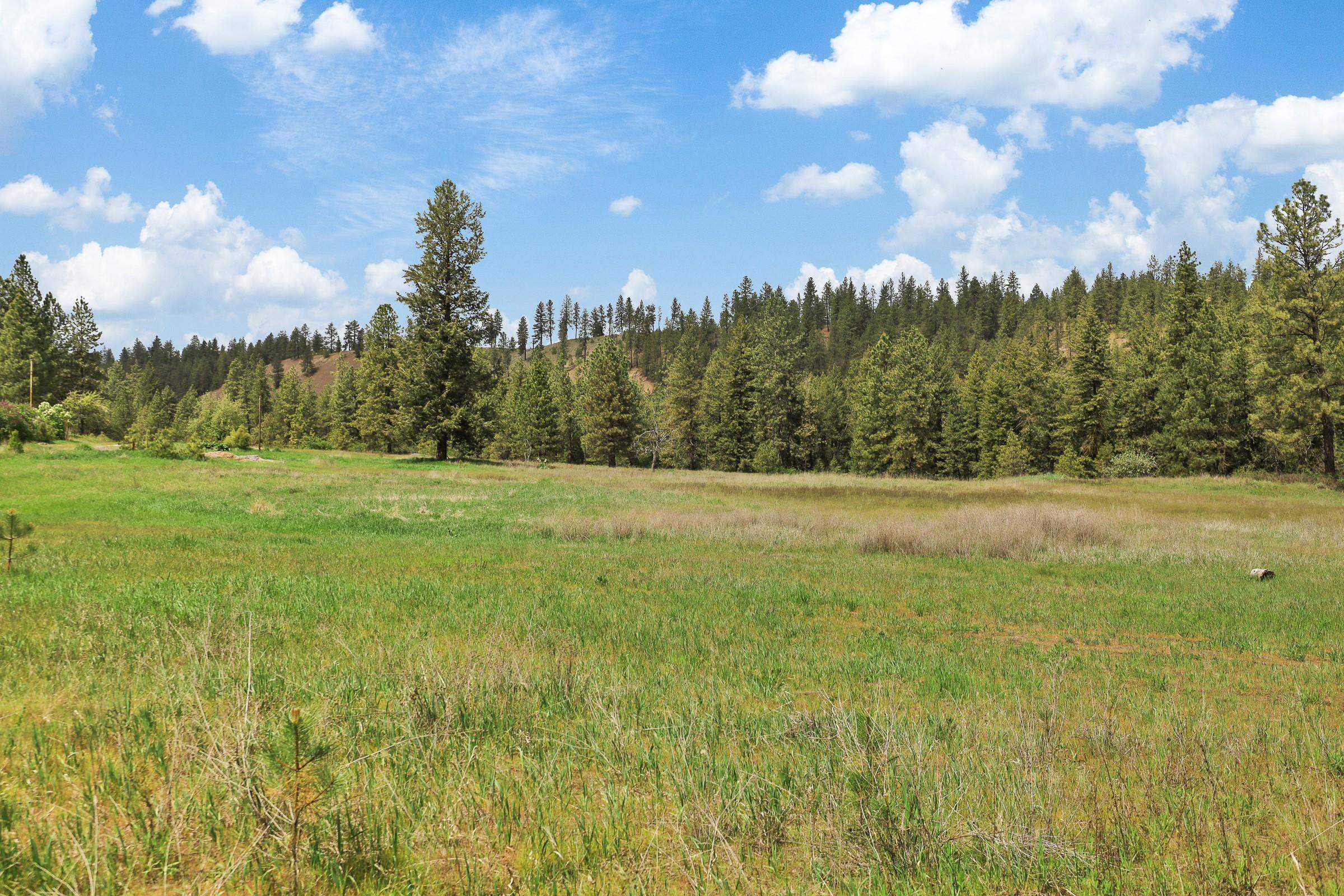 Xx Cheney Spokane Road Spokane, WA 99224 - Photo 11 of 26