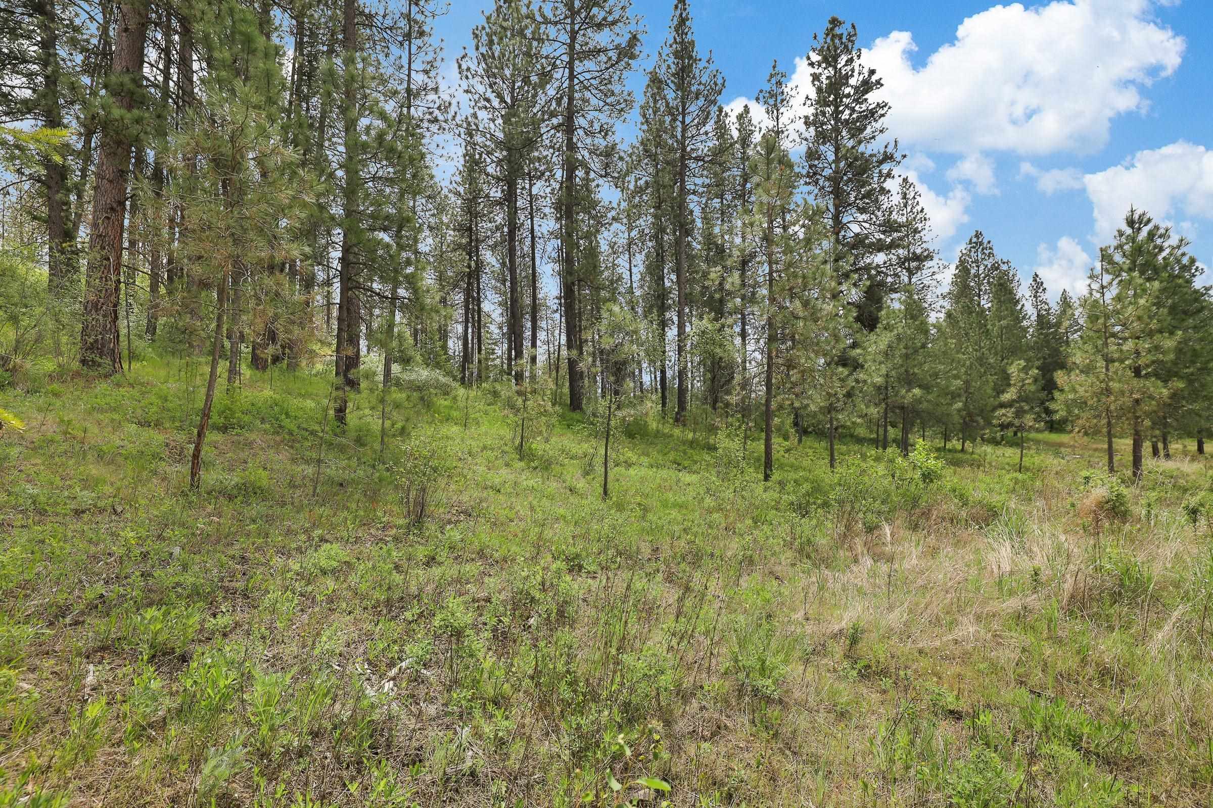 Xx Cheney Spokane Road Spokane, WA 99224 - Photo 13 of 26