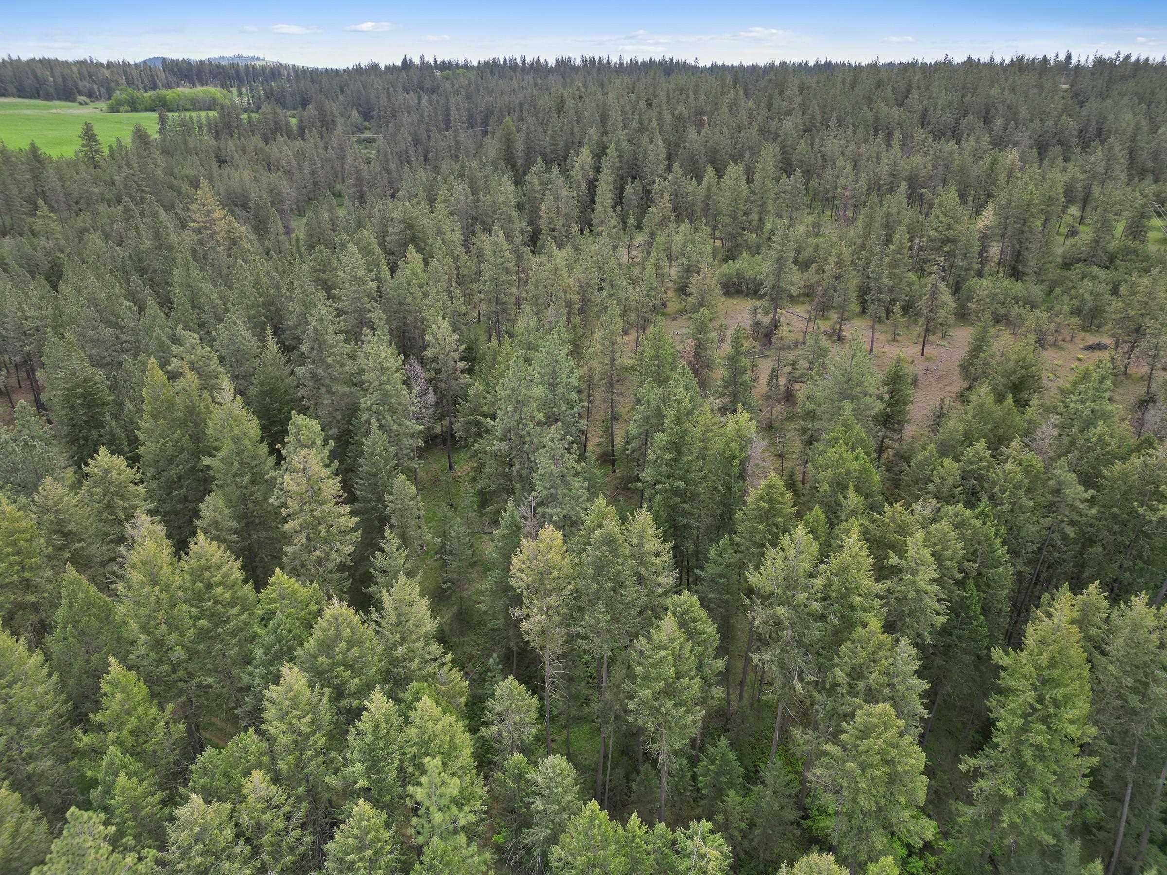 Xx Cheney Spokane Road Spokane, WA 99224 - Photo 19 of 26