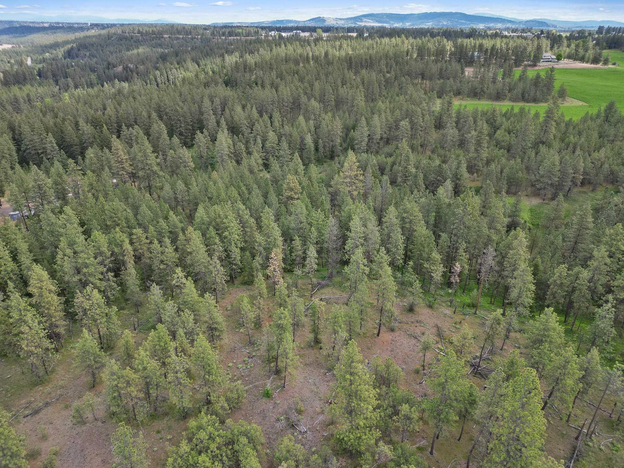 Xx Cheney Spokane Road Spokane, WA 99224 - Photo 20 of 26