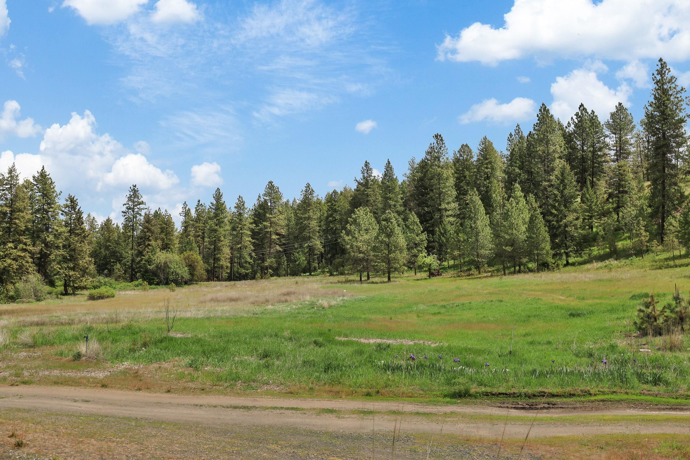 Xx Cheney Spokane Road Spokane, WA 99224 - Photo 3 of 26