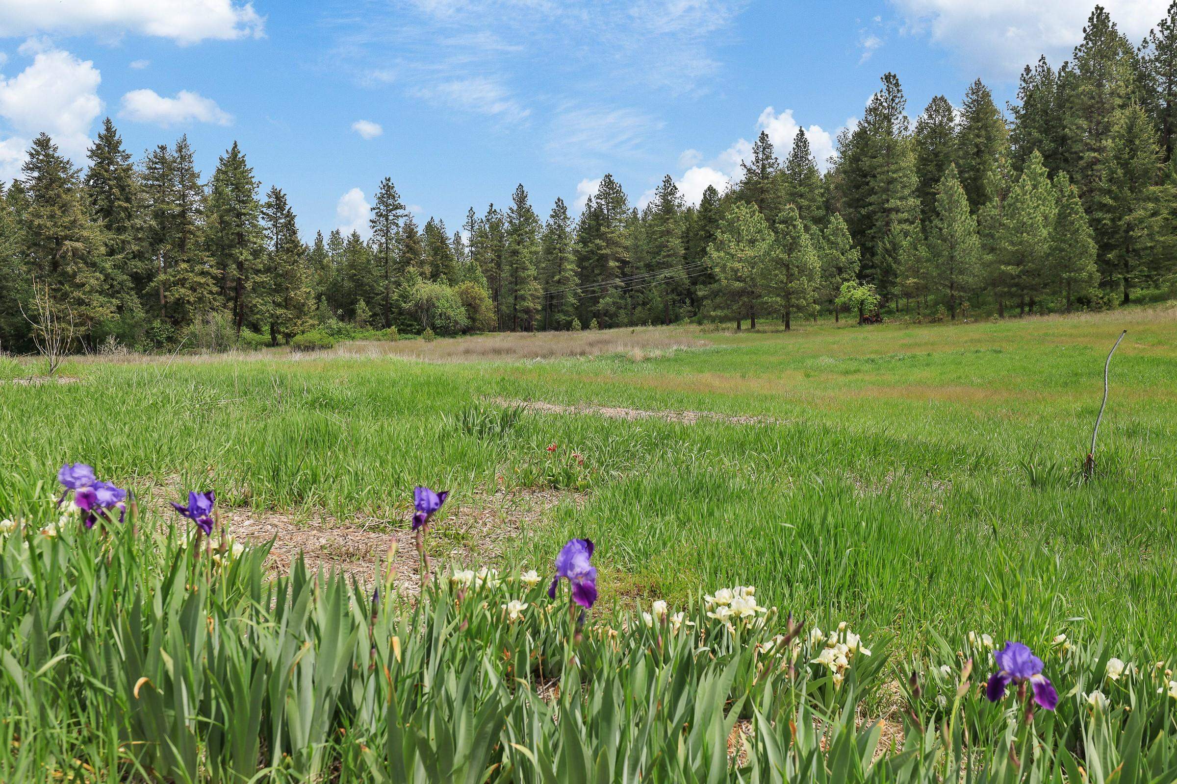 Xx Cheney Spokane Road Spokane, WA 99224 - Photo 5 of 26