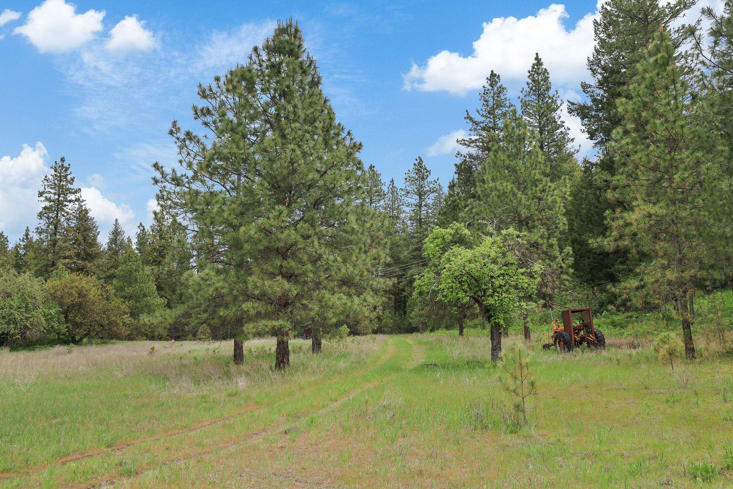 Xx Cheney Spokane Road Spokane, WA 99224 - Photo 9 of 26