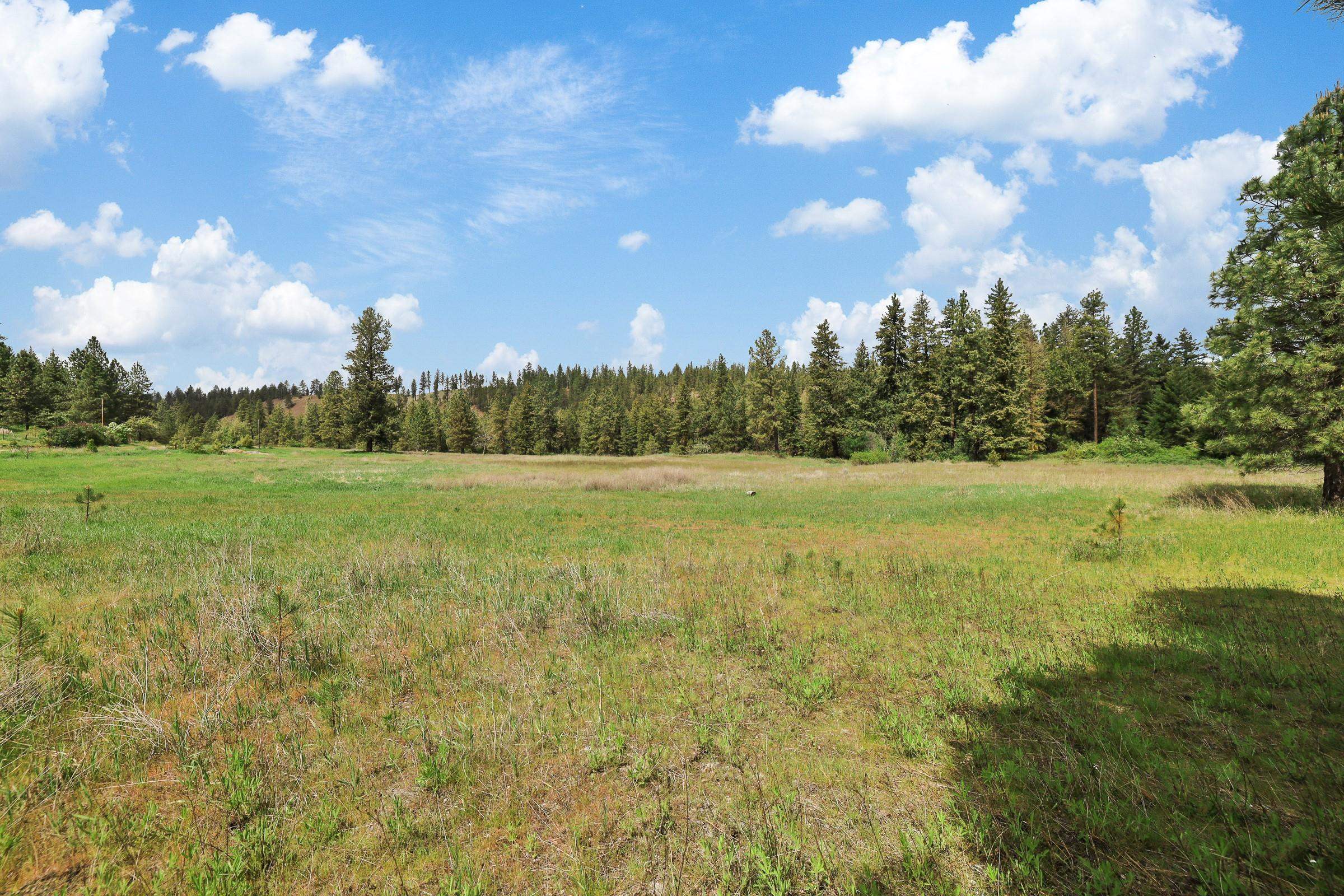 Xx Cheney Spokane Road Spokane, WA 99224 - Photo 10 of 26