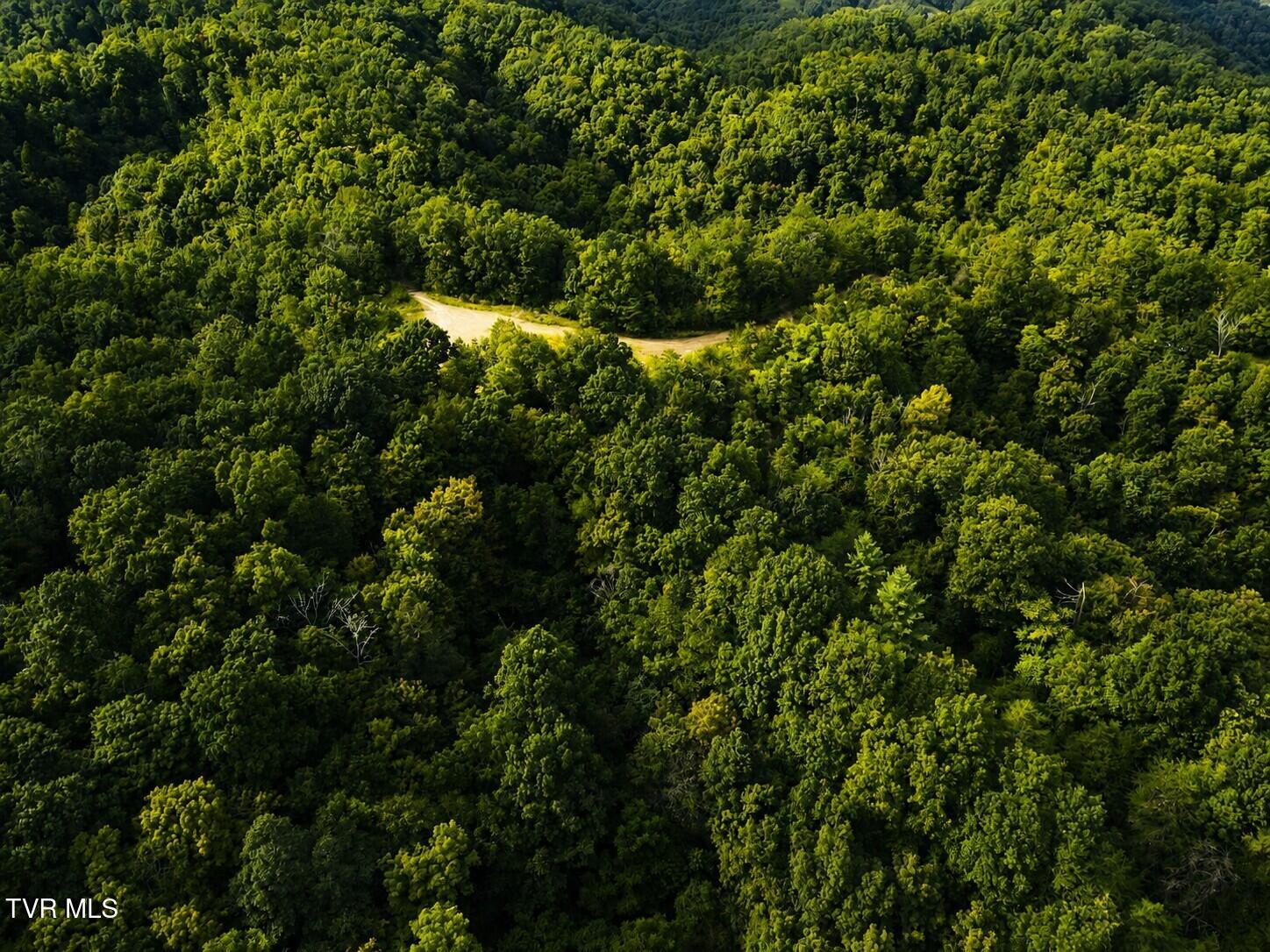 Tbd Mosier Road Johnson City, TN 37601 - Photo 27 of 32 pic 27.1