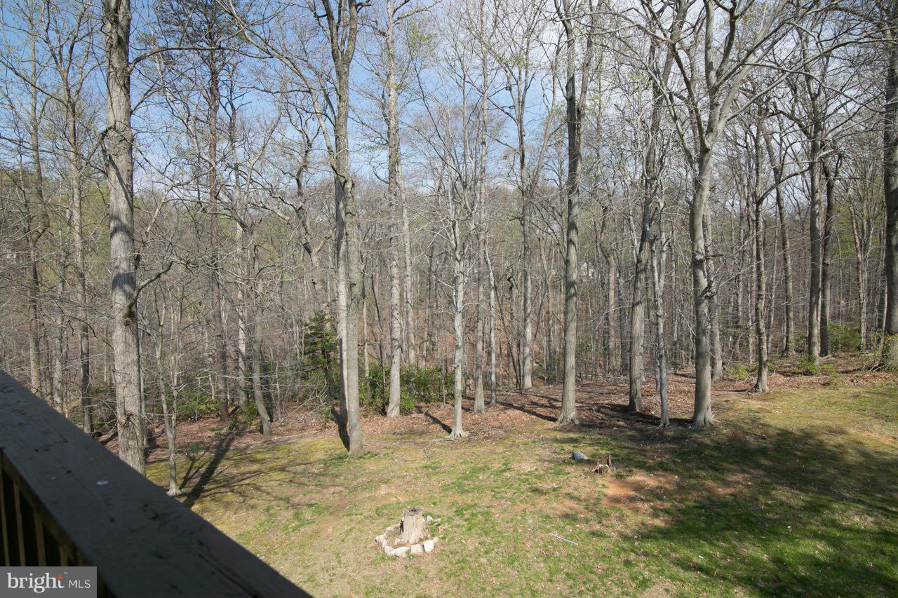7820 Marconi Court Springfield, VA 22153 - Photo 29 of 29 a view of a backyard with wooden fence