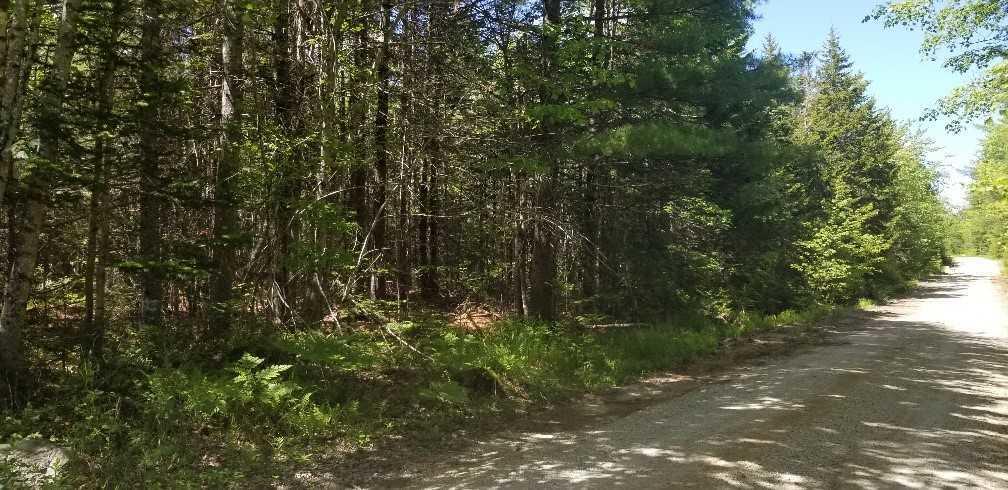 0 Jay Carter Road Blue Hill, ME 04614 - Photo 6 of 7 5