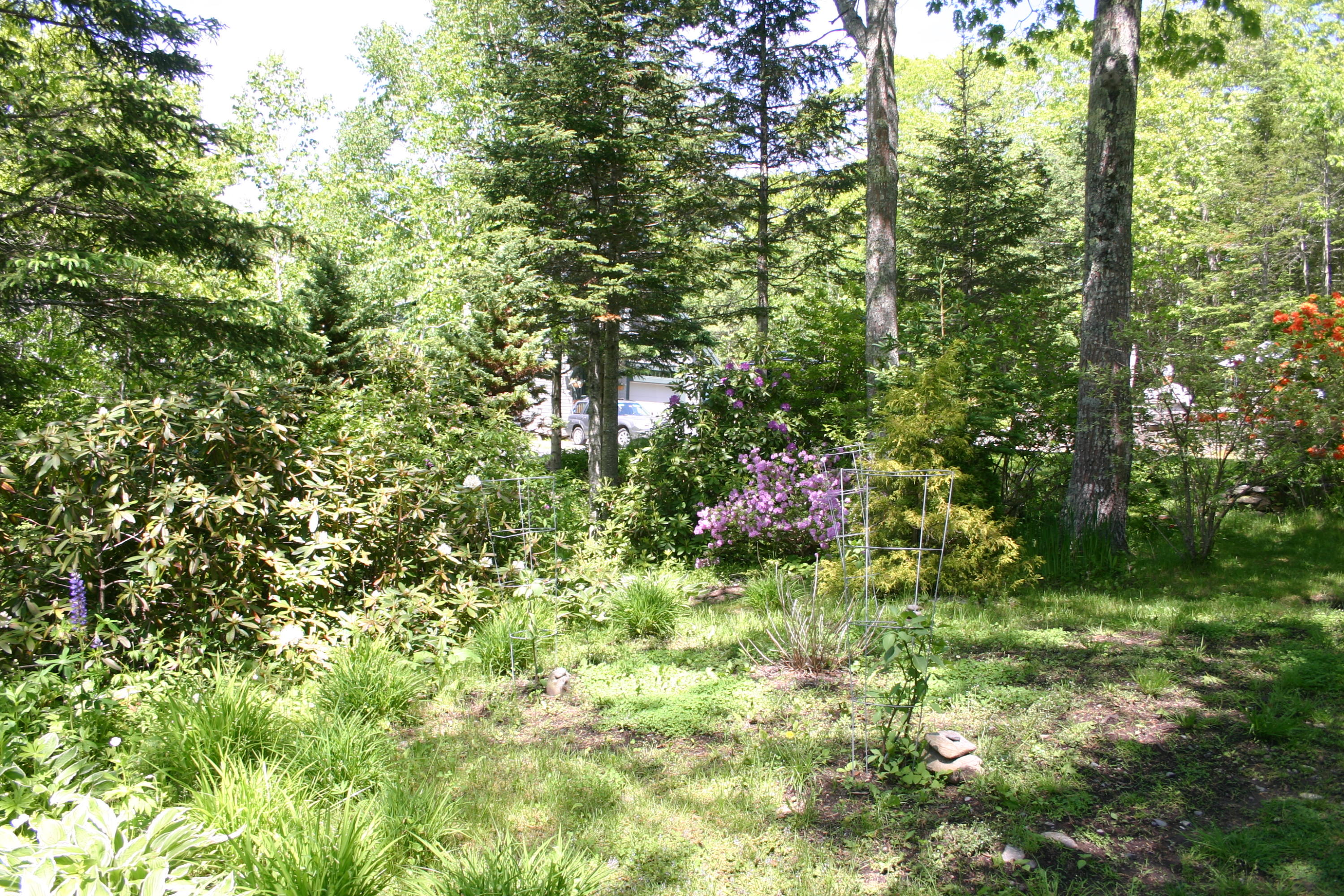 36 Granite Hill Road Pemaquid, ME 04558 - Photo 89 of 134 IMG_0434