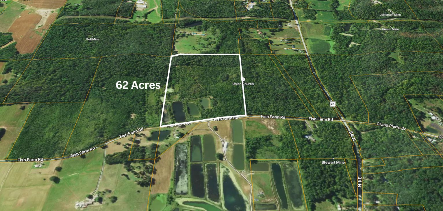 40 Fish Farm Road Golconda, IL 62938 - Photo 1 of 18