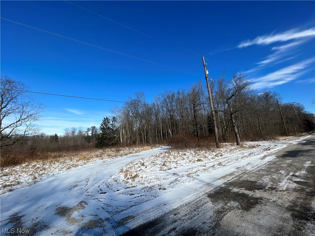 14551 Valentine Road Thompson, OH 44086 - Photo 4 of 6 View of road