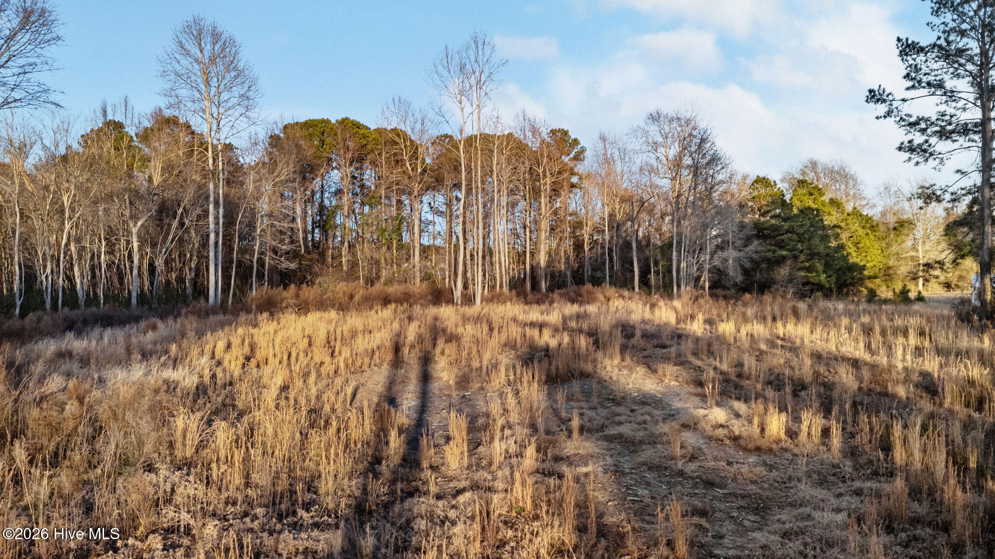 Tbd Farin Ward Road Stella, NC 28582 - Photo 4 of 14 15-web-or-mls-DJI_20260104163104_0169_D